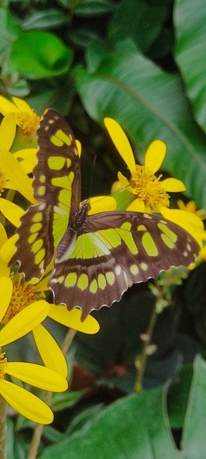 Foto 20 de Jose Manuel P. (20/11/25)