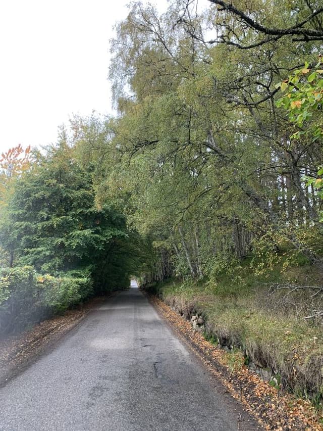 Photo 4 by gerard B. about renting a Renault Kadjar at Aberdeen Airport (10/20/22)