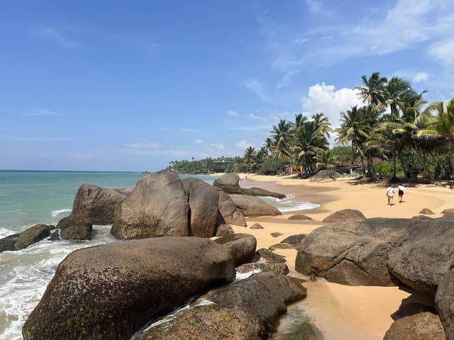 Foto 4 von Ulrich Ing. P. (15.1.26)