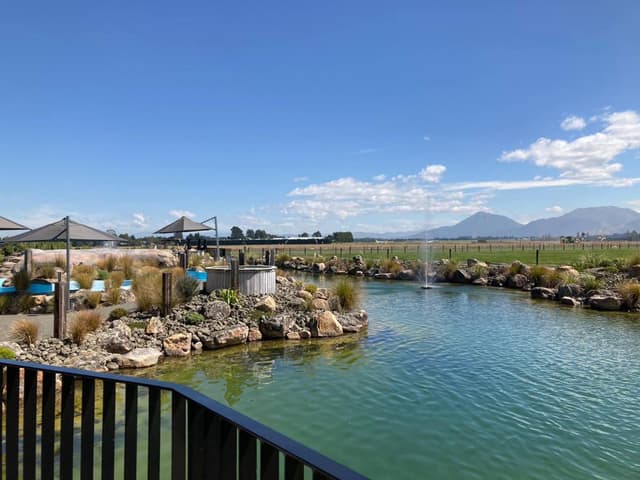 Photo by Arthur M. about hiring a Toyota RAV4 in Christchurch (24.02.23)