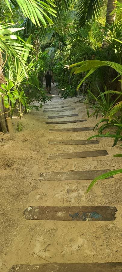 Photo 9 by Matthew S. (1/11/24)