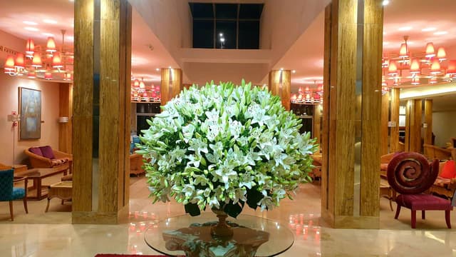 Foto 8 de Domingos S. (23/03/25)