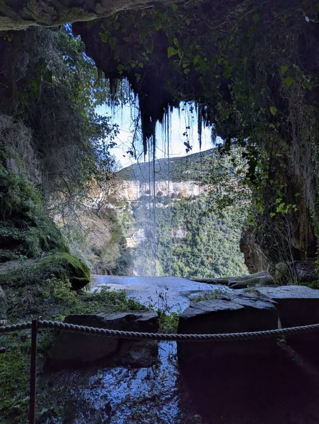 Photo 3 by Roberto Fortunato S. (12/3/25)