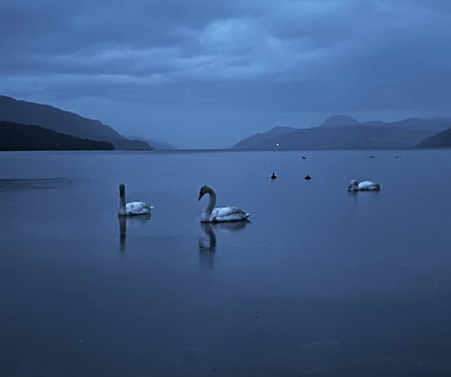 Photo 5 by Sophia M. about renting a Kia Picanto in Inverness (3/20/24)