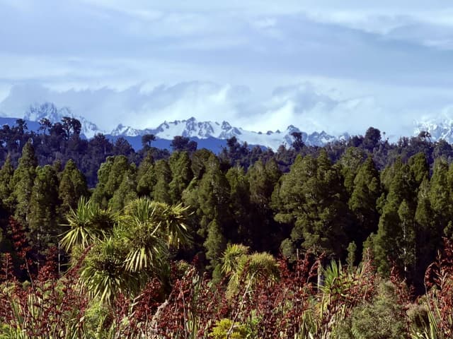 Photo 13 by Jacqueline R. (2/21/26)