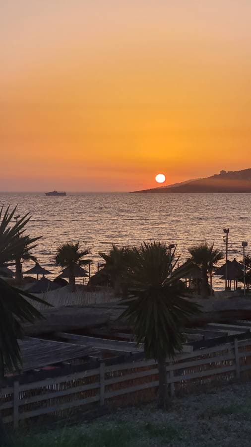 Foto 5 di Angela F. (25/06/24)