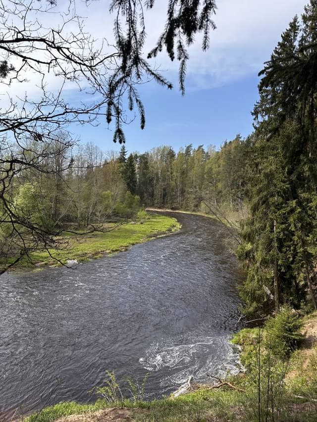 Photo by Imants S. (4/29/24)