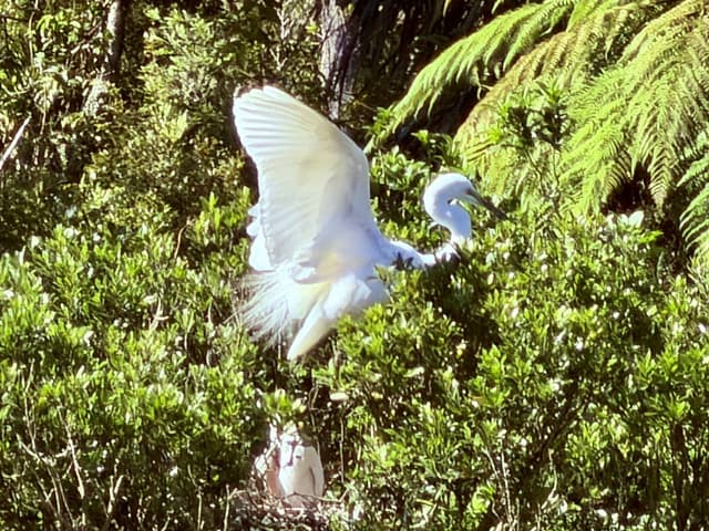 Photo 14 by Jacqueline R. (2/21/26)