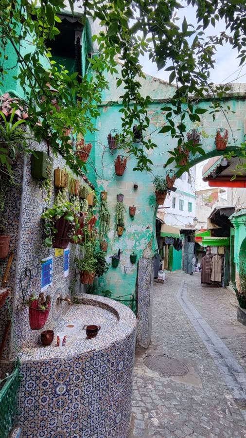 Foto 8 de Jesica A. (19/2/24)