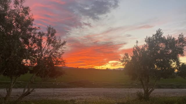 Photo 3 par BAKAOUIYA M. (11/04/26)