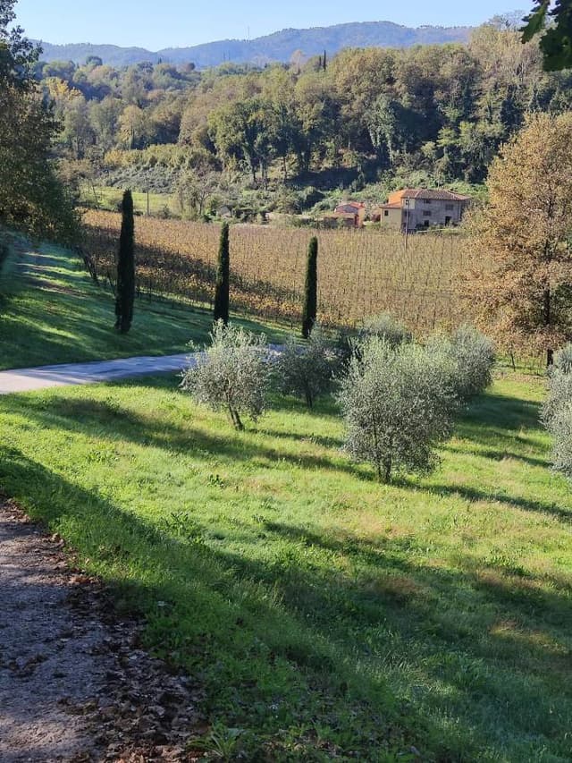 Foto 5 di Andrea S. (02/11/24)