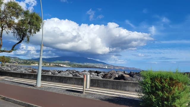 Photo 10 by George D. (10/19/25)