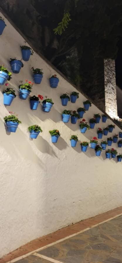 Photo 5 by Jolita S. about renting a Opel Astra in Spain (11/11/24)
