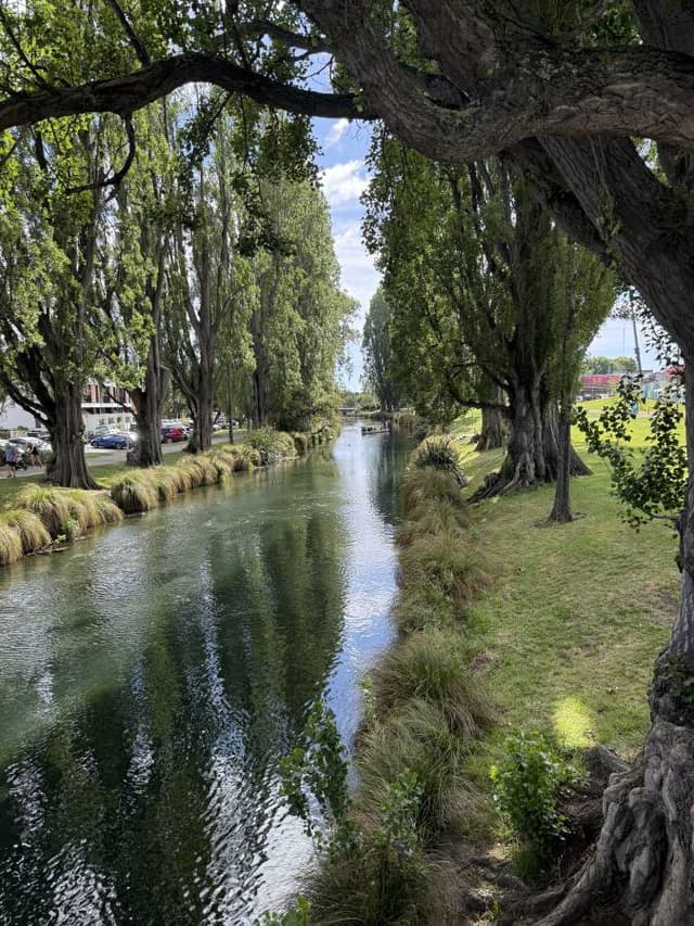 Photo 5 by Andrew C. (12/1/25)