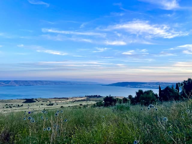 Photo 10 by Amaris M. about renting a Suzuki Alto in Israel (4/16/25)