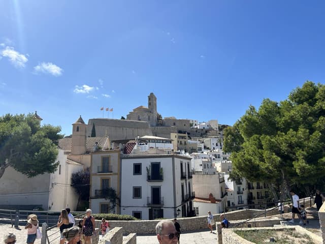 Foto 5 van Elbert N. (3-10-24)