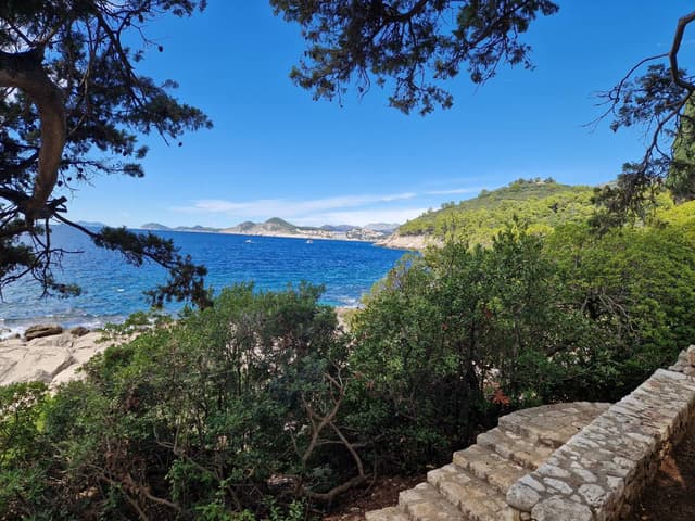 Zdjęcie 4 wykonane przez Jacek G. (19.09.24)