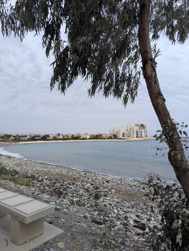 Photo 9 by Olha H. (3/30/26)