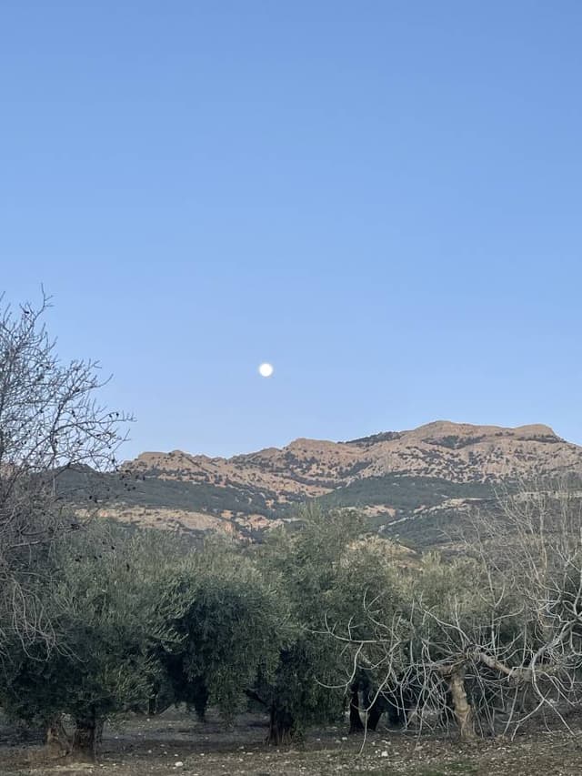 Photo 5 by Valentin B. about renting a Fiat 500 in Malaga (1/17/25)