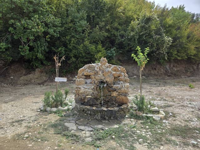 Photo 6 par Yves C. (28/09/26)