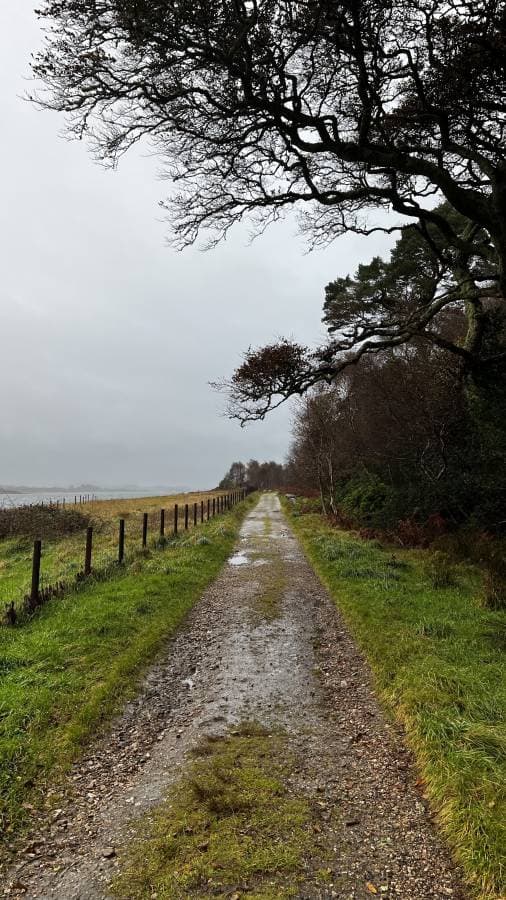 Photo 8 by Florian A. (10/18/25)