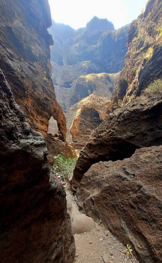 Zdjęcie 12 wykonane przez Jolanta C. (7.07.24)