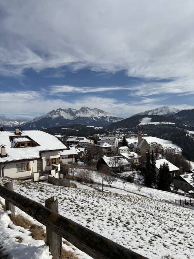 Photo 3 by Mitchell B. (1/30/25)