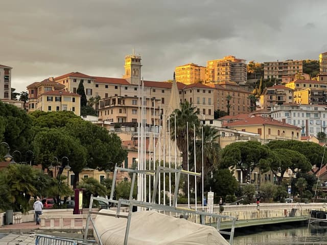 Photo by David N. (11/11/25)