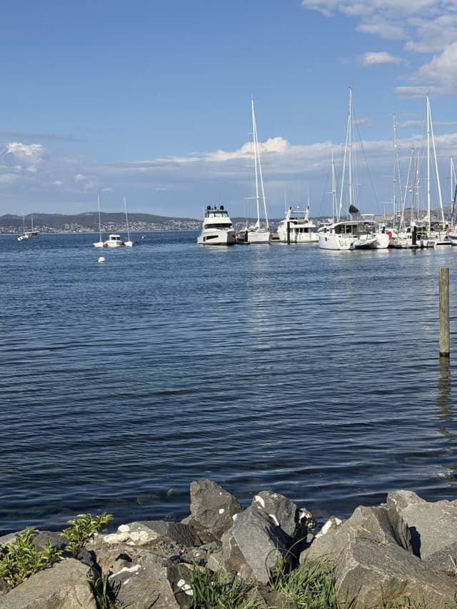 Photo 2 by Diego S. (4/3/26)