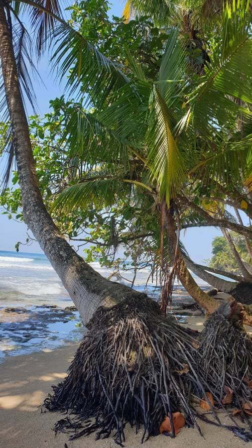 Photo 6 by Petra A. (3/29/23)