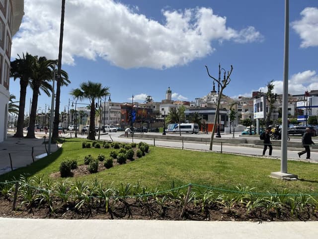 Foto 8 de Rui C. (05/05/25)