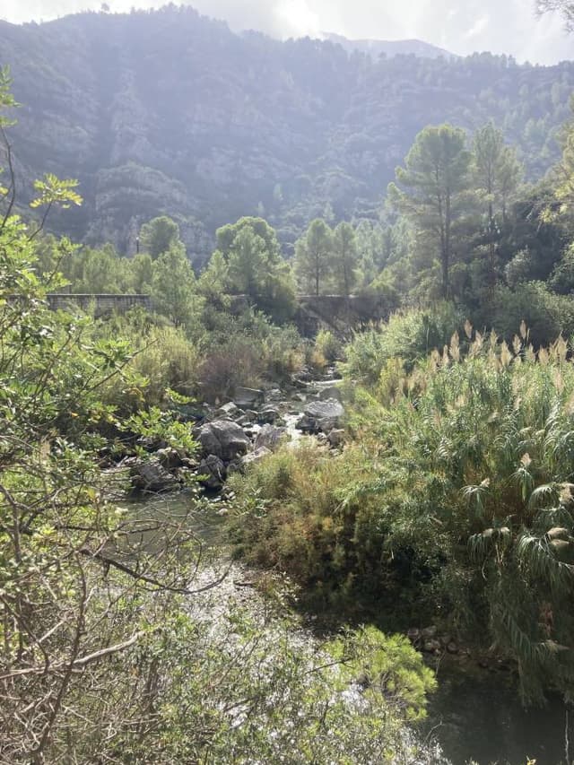 Photo 2 by Simon M. about hiring a Toyota Aygo in Valencia (17/10/24)