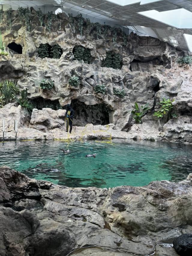 Zdjęcie 6 wykonane przez Bartosz K. (17.05.24)