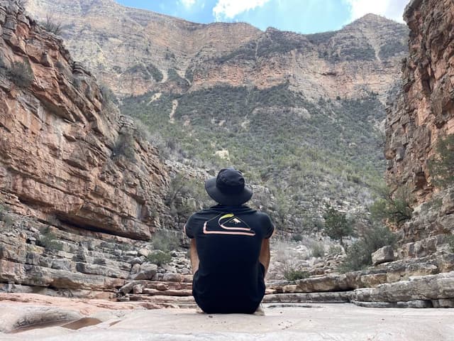 Photo by David R. (3/16/25)