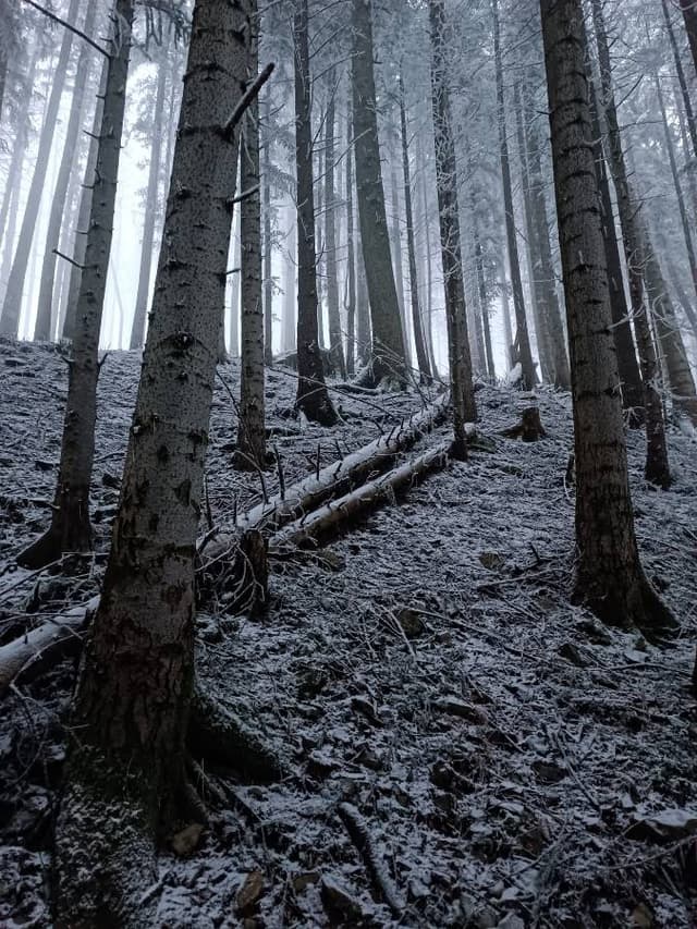 Фото 8 от Ihor K. об аренде Toyota C-HR в Варшаве (25.11.23)