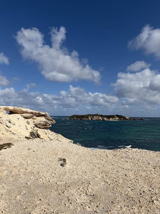 Photo 8 by Sam B. (5/2/26)