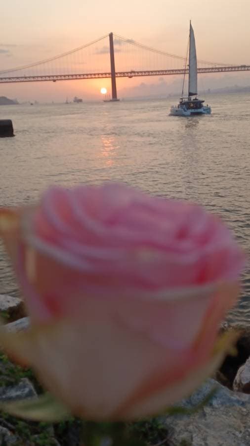 Photo 4 by Carla C. about renting a Peugeot 208 in Lisbon (9/27/24)