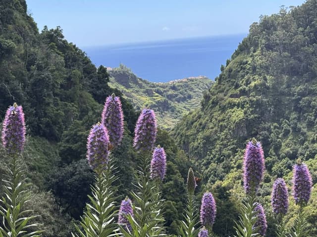 Photo 2 by David H. (4/15/26)