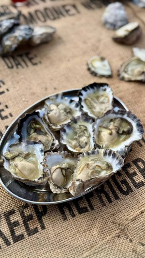 Photo 7 by Paul K. (1/7/26)