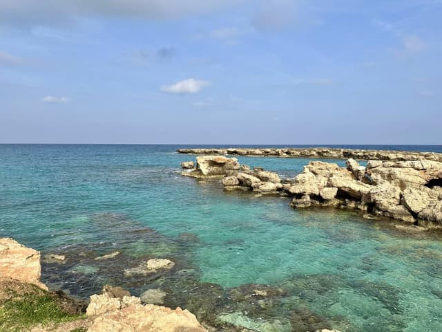 Zdjęcie 7 wykonane przez Michal K. (7.02.26)