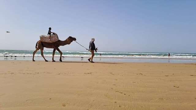 Photo 5 by TOMASZ S. about hiring a Renault Clio in Morocco (19.02.24)