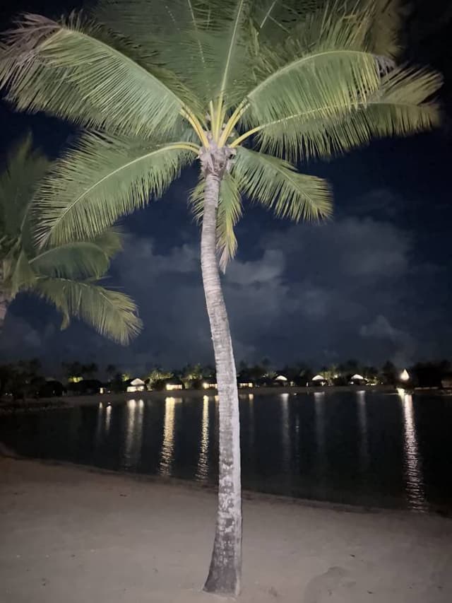 Photo 5 by Rachael P. about renting a Chevrolet Cruze in Fiji (2/24/25)