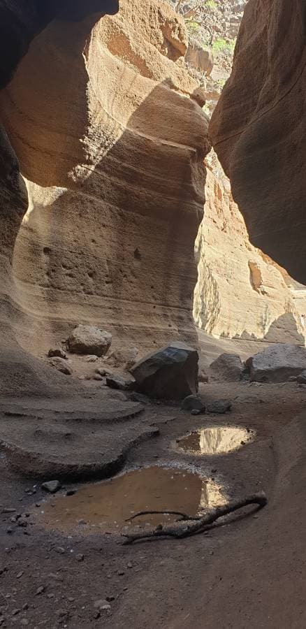 Photo 3 by Mario G. (12/2/25)