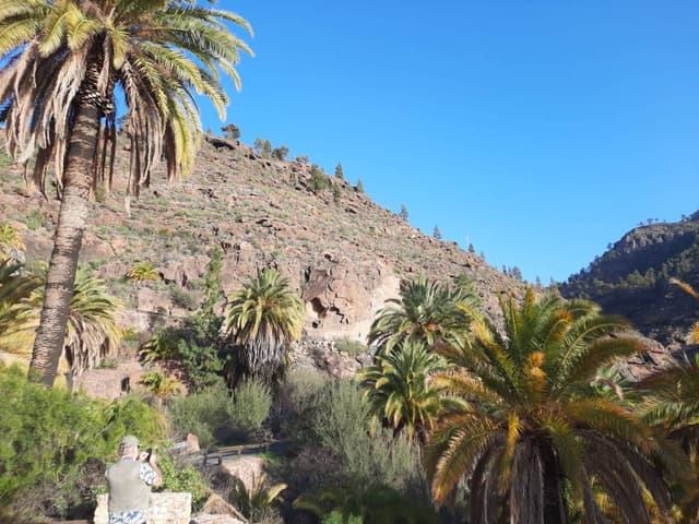 Photo 2 by Paul C. about renting a Toyota Aygo at Gran Canaria Airport (2/11/25)