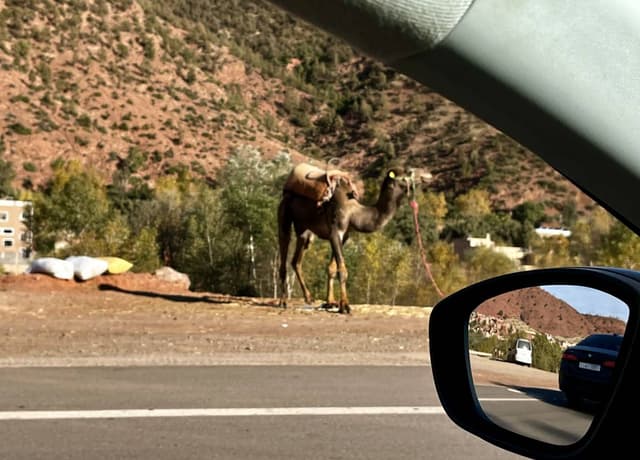 Foto 3 van Meaghan H. (12-12-25)