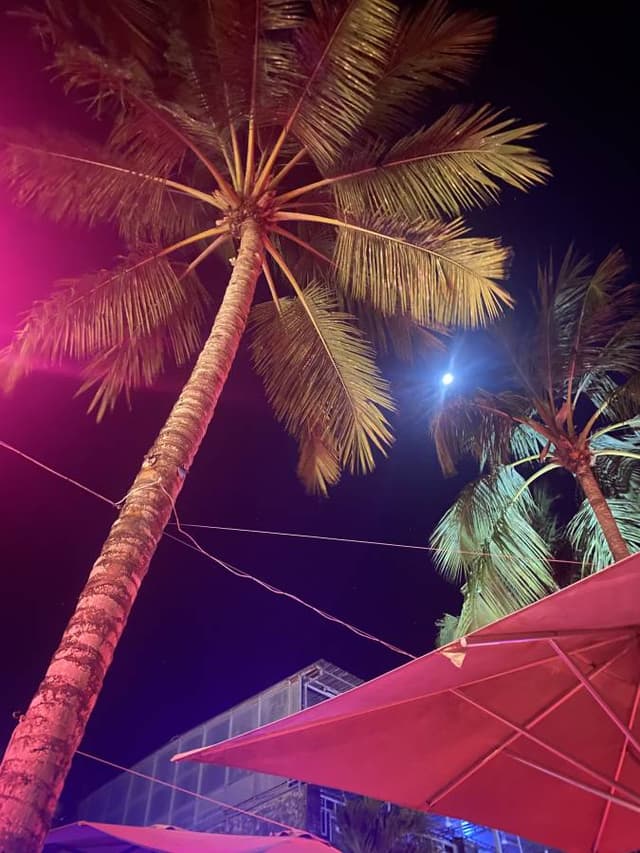 Photo 2 by Rene V. about renting a Suzuki Grand Vitara in Dominican Republic (6/30/23)