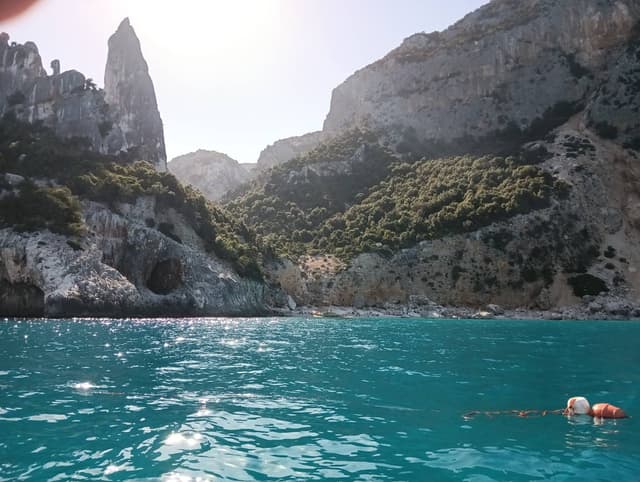 Foto 5 van Bernard Jaap K. (17-10-23)