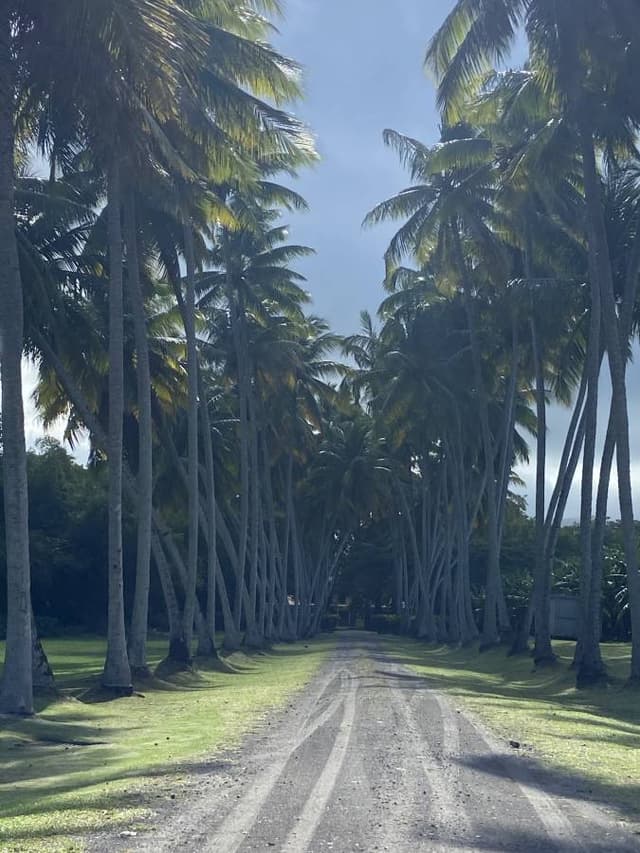 Foto 5 di CARLA P. (09/12/25)