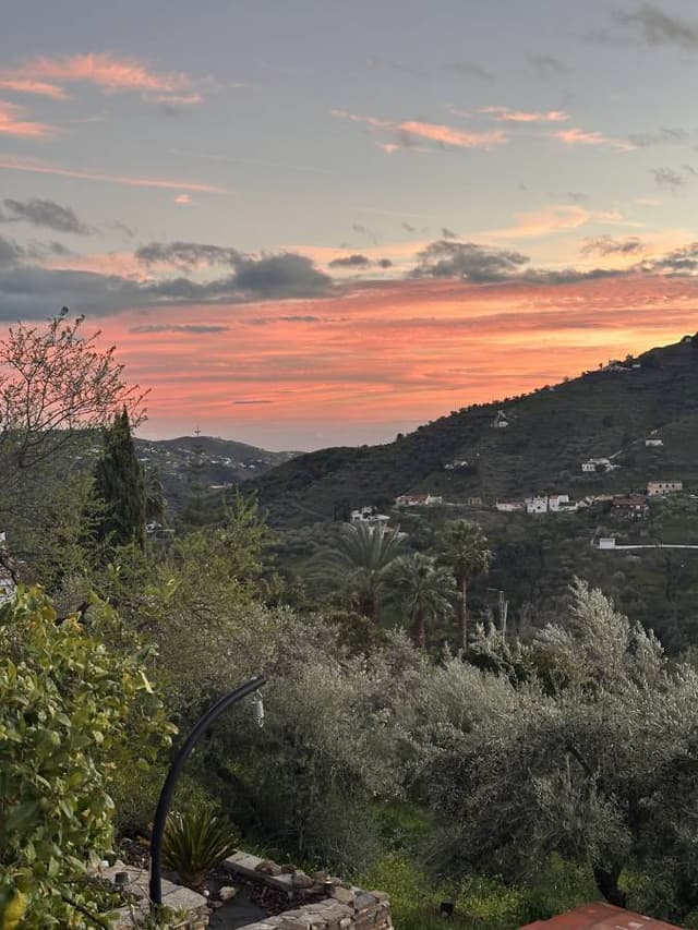 Foto 4 von Knut M. (12.2.26)