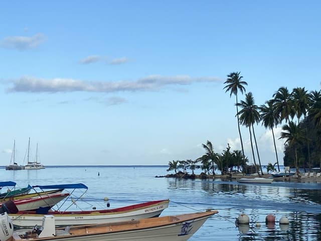 Photo 2 by CARLA P. about renting a Suzuki Jimny in Vieux Fort (3/21/24)